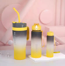 Tumbler 3pcs bottle set with straw